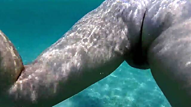 Creampie underwater, cum dump swimming after beach fuckfest