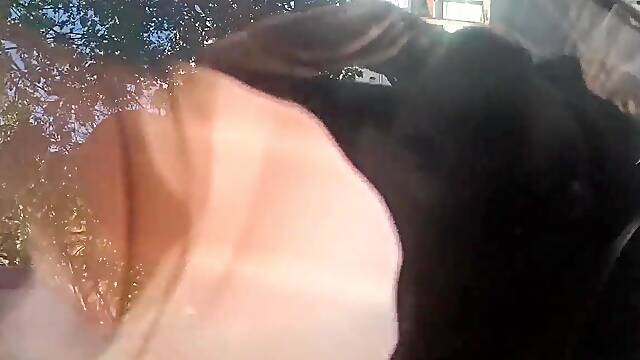 I bang my allys wife each time her cuckold spouse leaves the abode; the floozy always orgasms when I eat her booty.